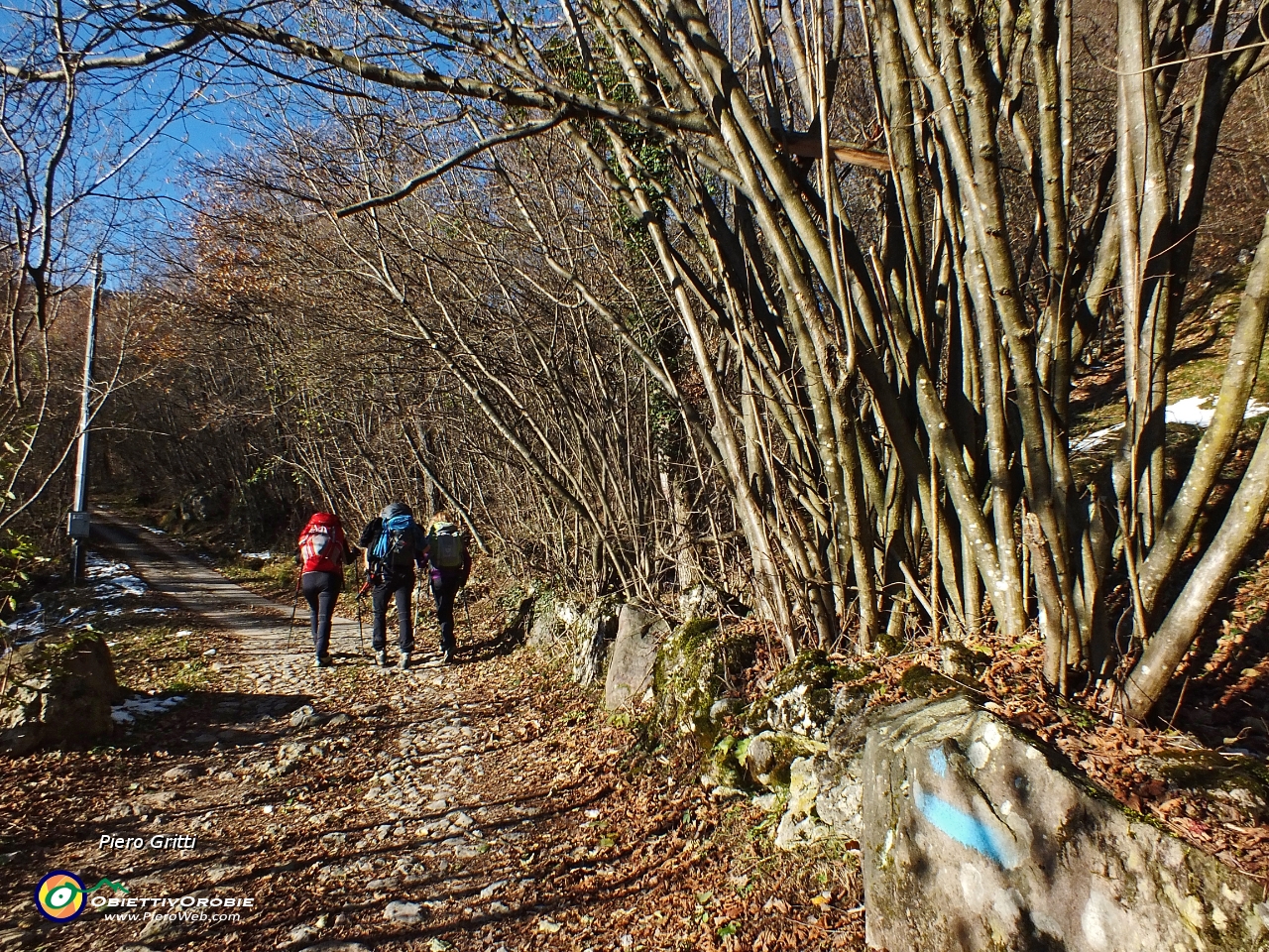 10 nel bosco....JPG